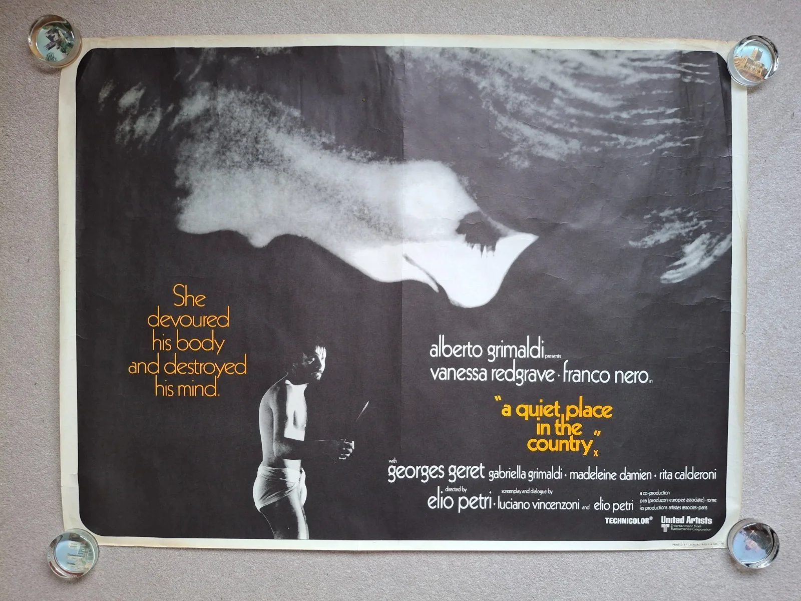 A Quiet Place in the Country Rare Original Film Cinema Movie Quad Poster, изображение 3