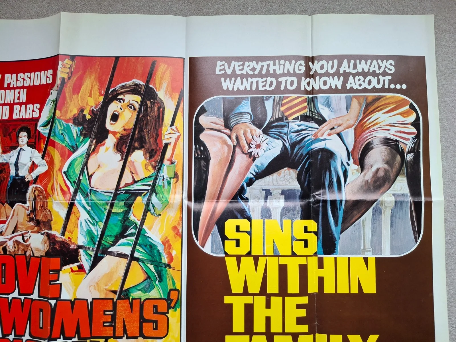 Love In a Womens' Prison / Sins Within The Family Cinema Movie Film Quad Poster, изображение 4