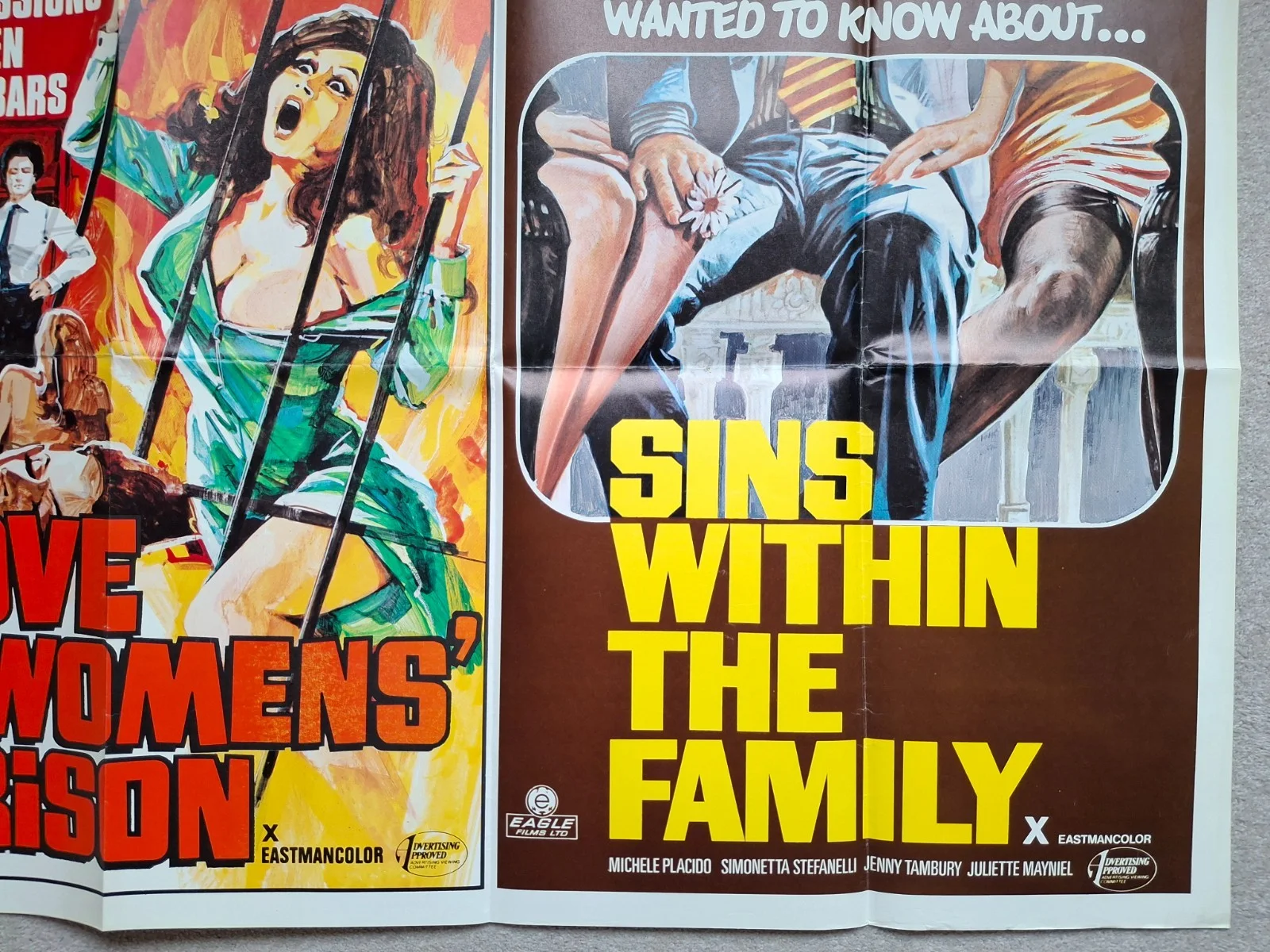 Love In a Womens' Prison / Sins Within The Family Cinema Movie Film Quad Poster, изображение 5