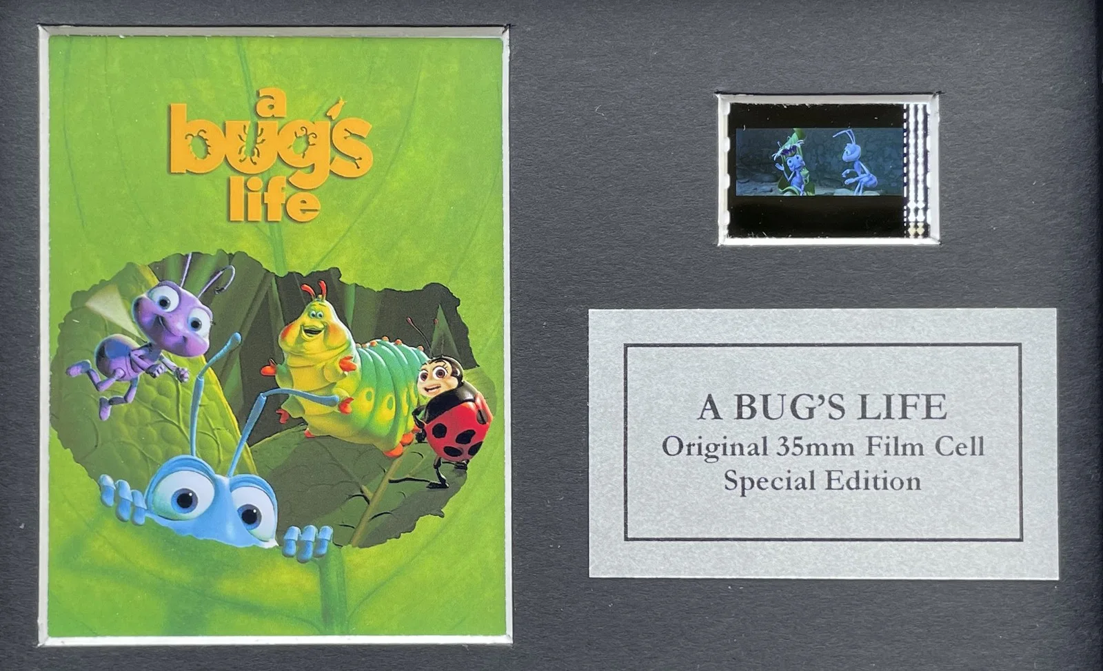 A BUGS LIFE 1998 Original Mini 35mm Film Cells set within Quality Wood Frame +, изображение 2