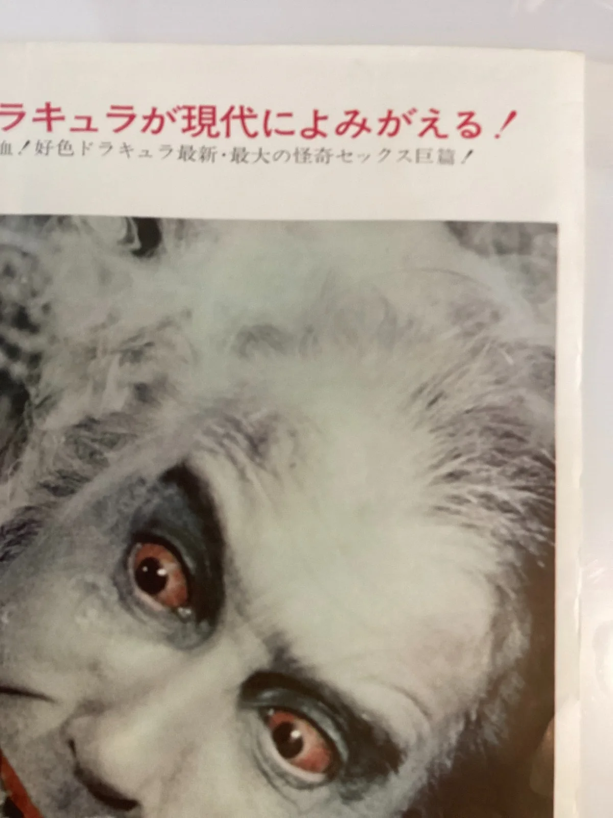 Dracula AD 1972 Original Vintage Japanese B2 movie poster Hammer Christopher Lee, image 4