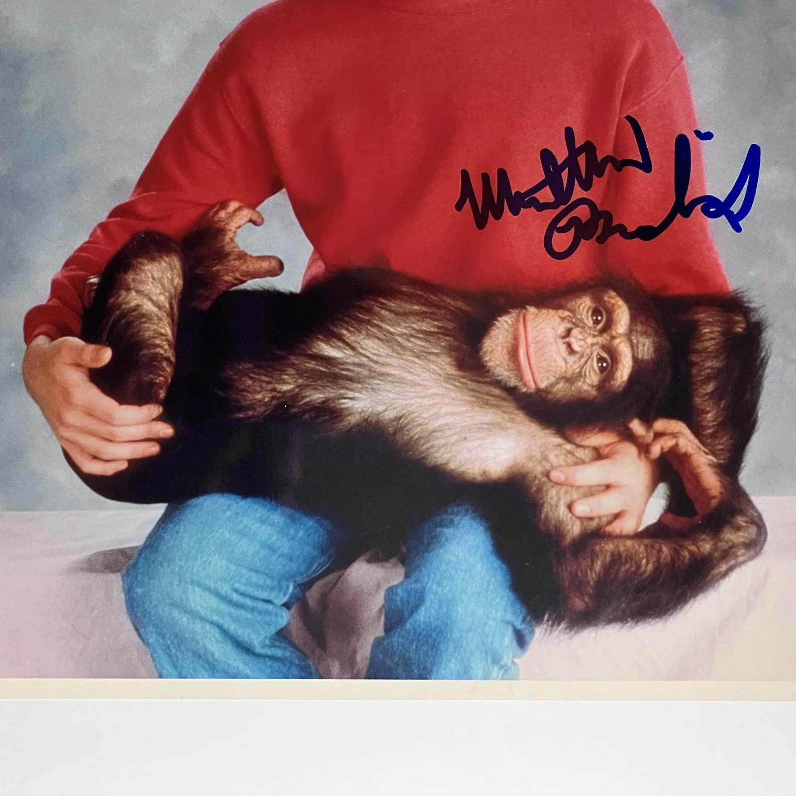Matthew Broderick — MATTHEW BRODERICK Signed “PROJECT X” 8x10 / FERRIS BUELLER, WarGames, LION KING, image 4