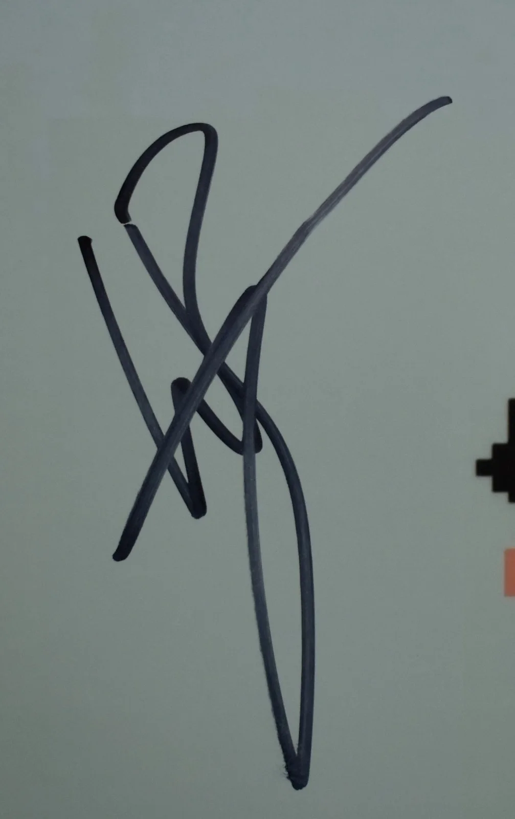 Ralph Macchio William Zabka Nintendo KARATE KID Signed 16x20 Photo JSA 205226, изображение 2