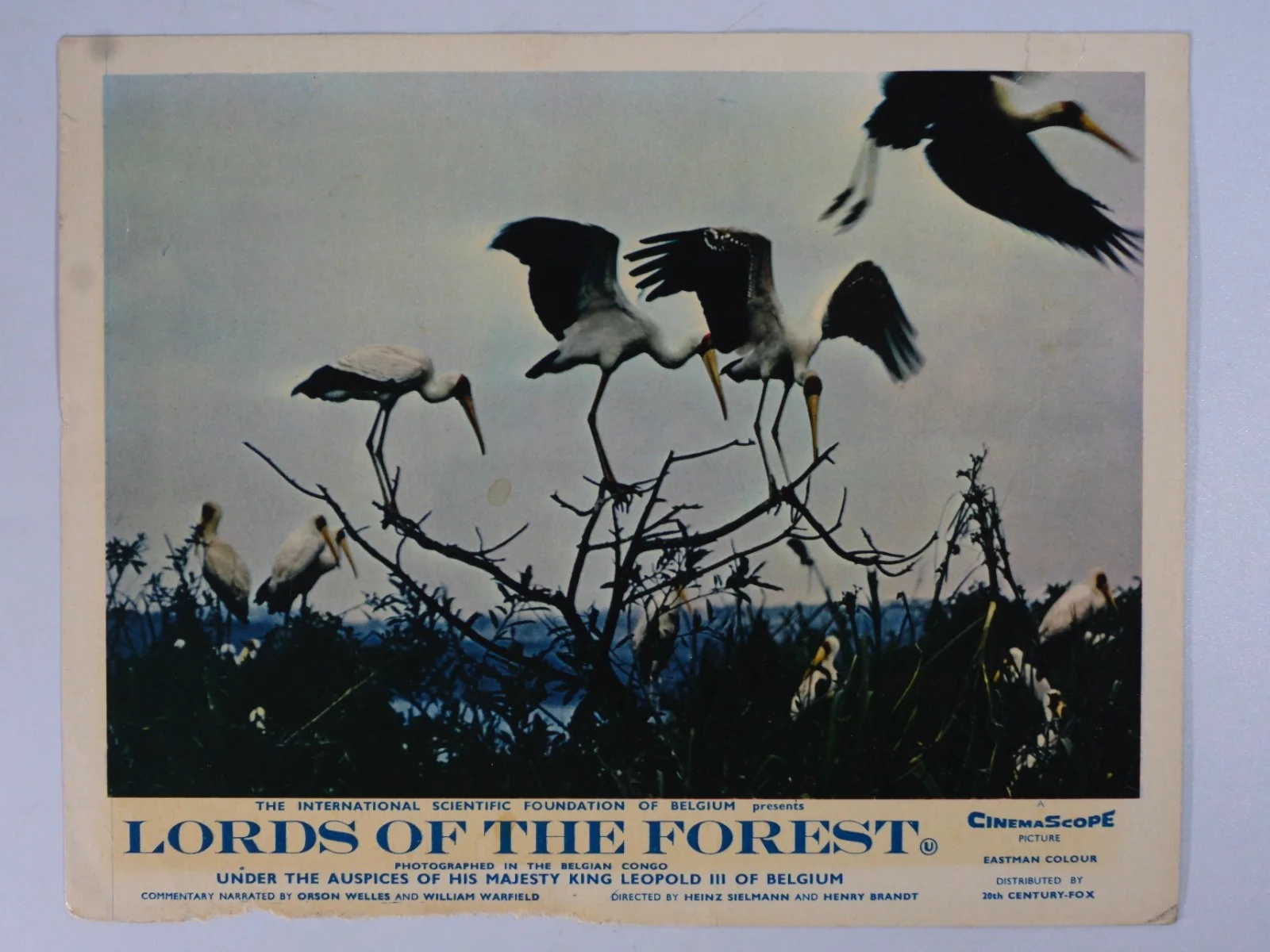 Vintage Lords of The Forest Original Lobby Cards x7, image 2