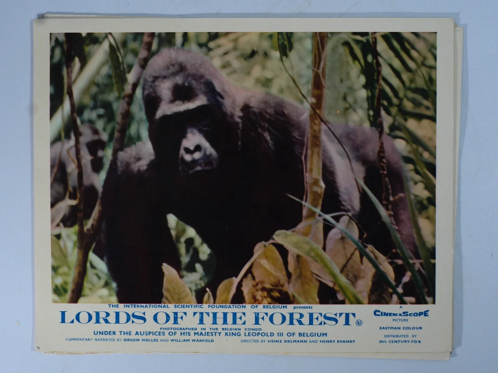 Vintage Lords of The Forest Original Lobby Cards x7, image 3