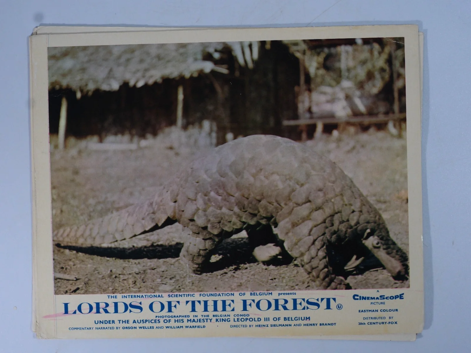 Vintage Lords of The Forest Original Lobby Cards x7, image 5