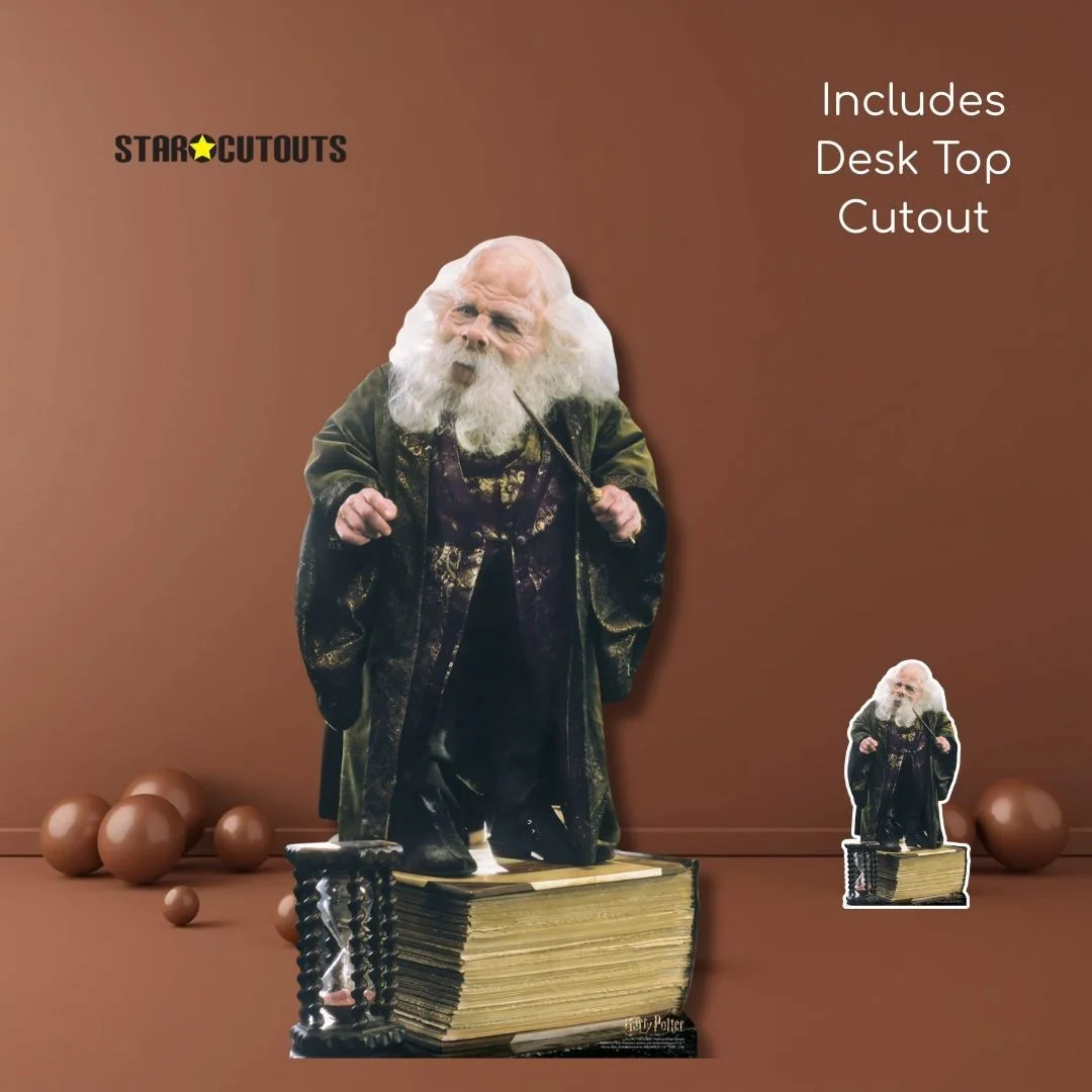 Filius Flitwick Beard from Harry Potter Lifesize Cardboard Cutout with Free Mini, изображение 3