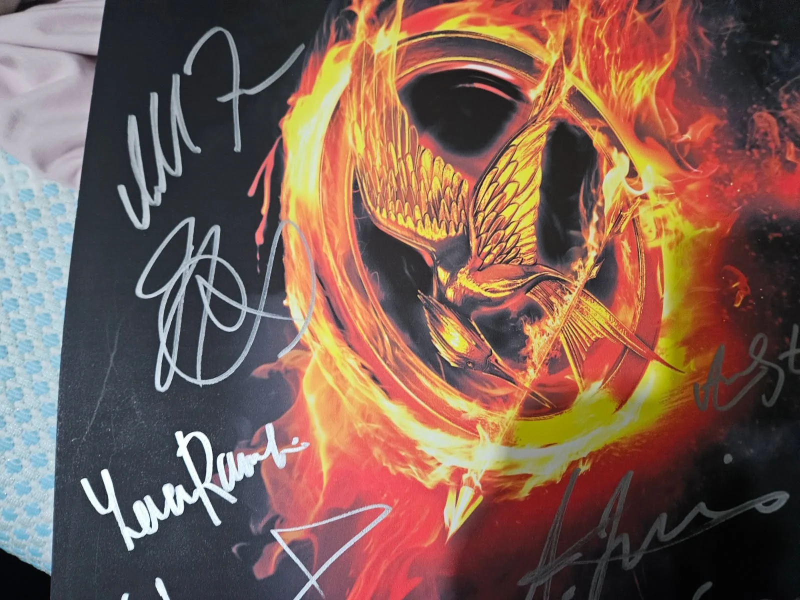 Jennifer Lawrence plus cast — 14x20 Hunger Games Cast (10 sigs) autographed photo Jennifer Lawrence JSA Letter, изображение 2