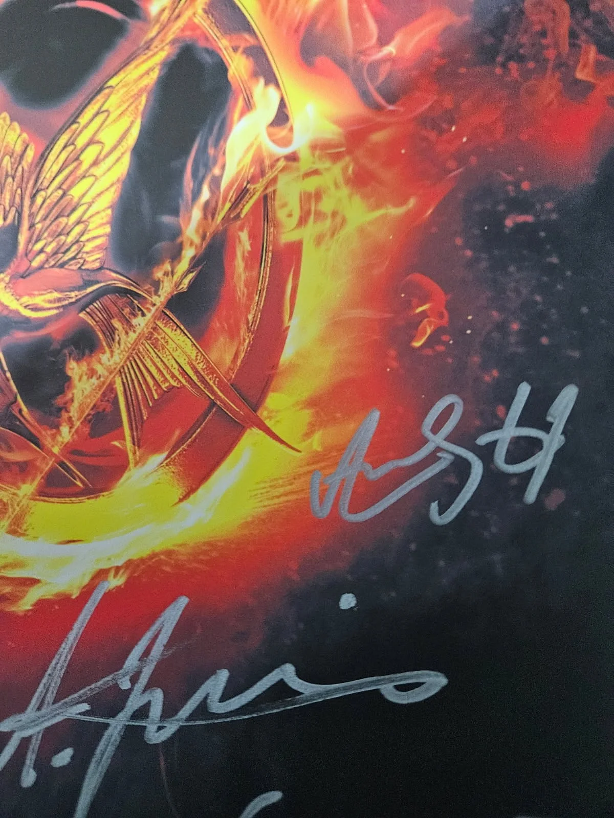 Jennifer Lawrence plus cast — 14x20 Hunger Games Cast (10 sigs) autographed photo Jennifer Lawrence JSA Letter, изображение 4