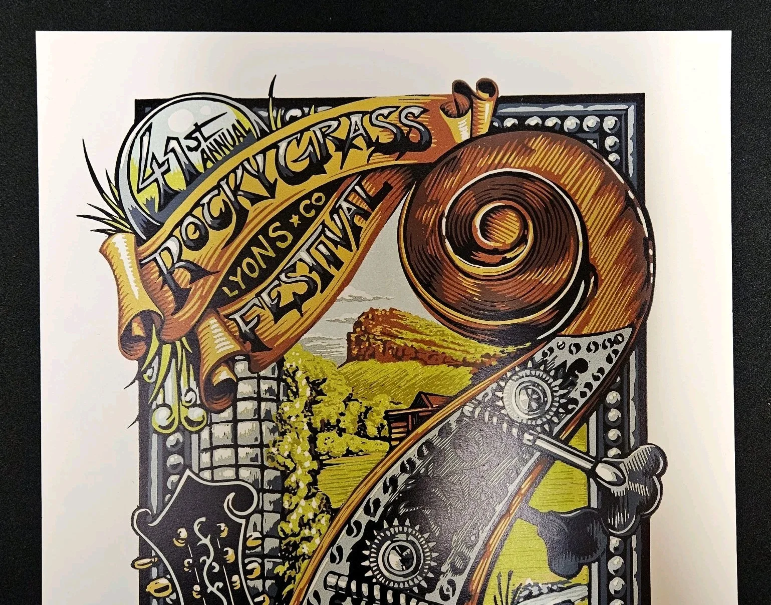 41st ROCKY GRASS FESTIVAL Artists Proof Silkscreen Poster 2015 Lyons Colorado, image 3