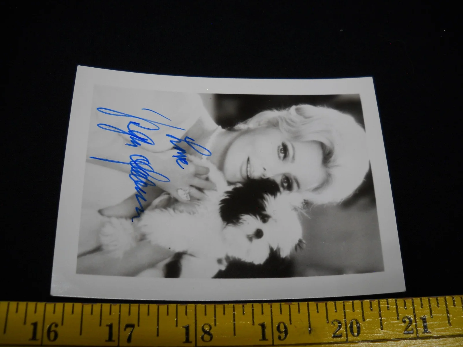 Zsa Zsa Gabor — 3.5x5 Publicity Photo Signed Autographed Zsa Zsa Gabor Green Acres, изображение 2