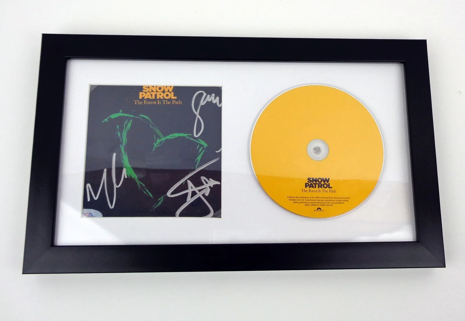 Snow Patrol Band Signed Autograph The Forest Is The Path CD Framed PSA/DNA COA, image 2