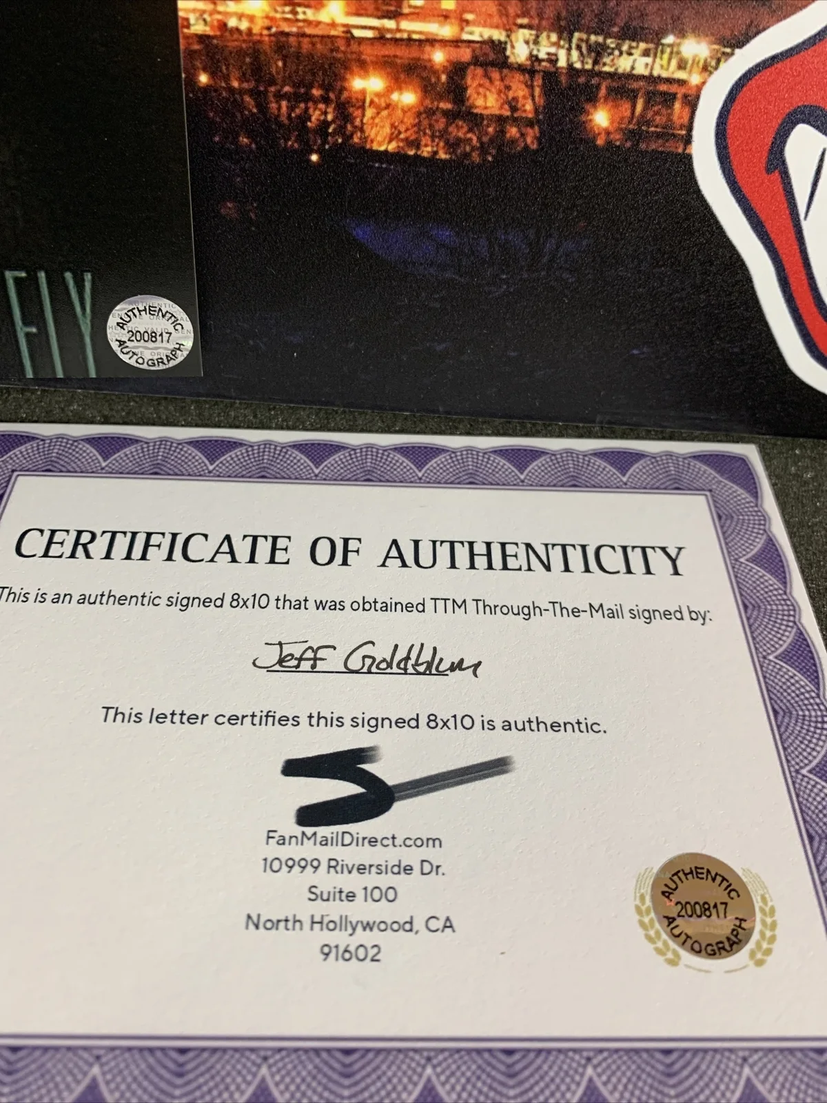 Jeff Goldblum — Jeff Goldblum (The Fly Actor) Signed Autographed 8x10 photo - AUTO with COA, image 2