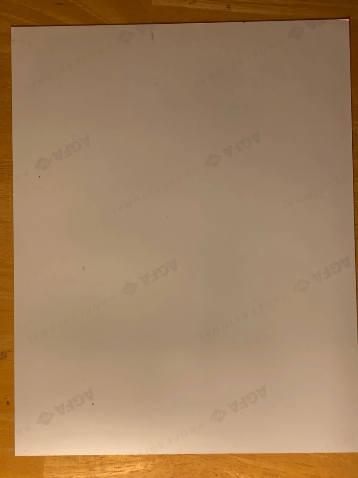 Hand SIGNED Matt Lauer 8x10 Photo - Today Show - NBC News Anchor, изображение 3