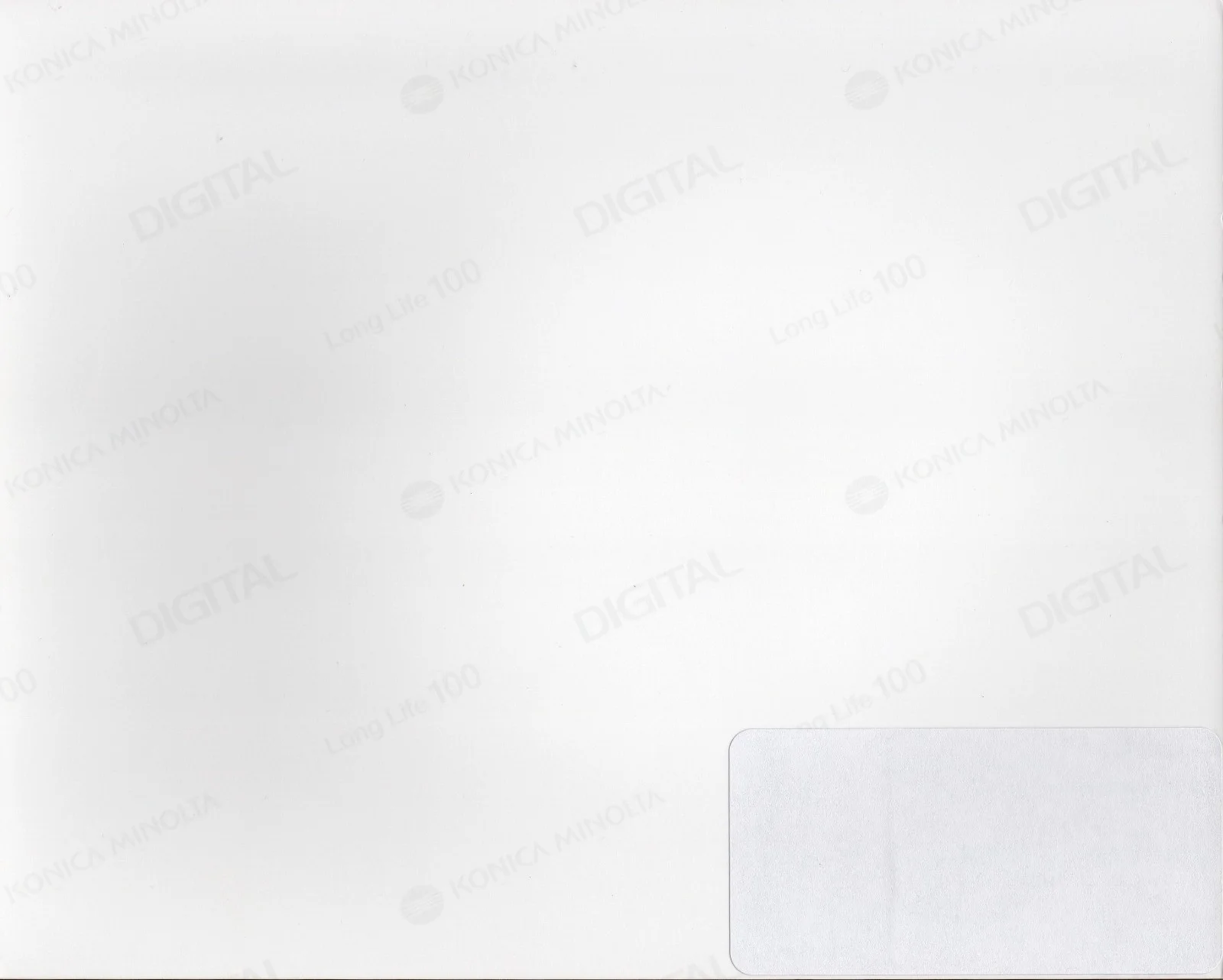 THE ONE TO OWN! Keira Knightley DOMINO Signed Autographed 8x10 Photo JSA COA!, изображение 3