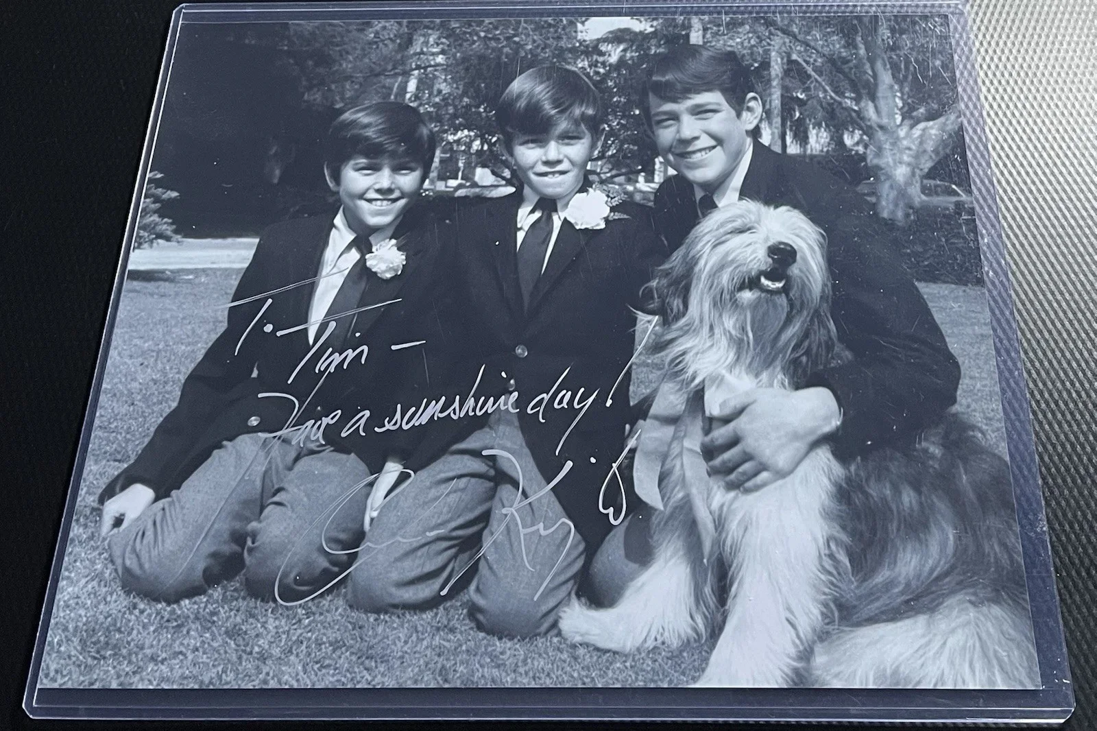 Brady Bunch Christopher Knight aka Peter Brady Signed 8x10 Photo w/ Top Load COA, image 3