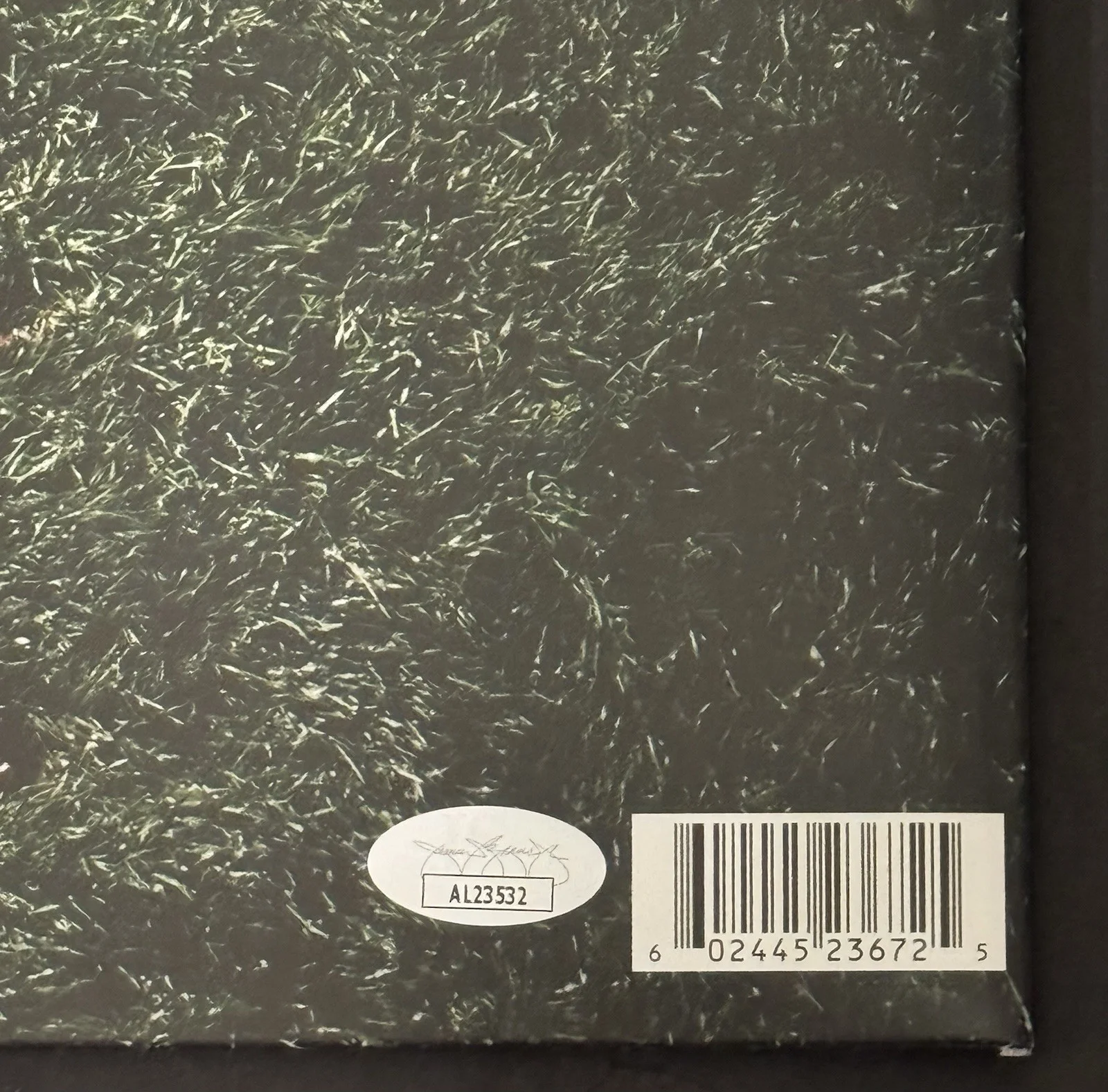 Gracie Abrams Signed Autographed This Is What It Feels Like Vinyl Album JSA COA, изображение 3