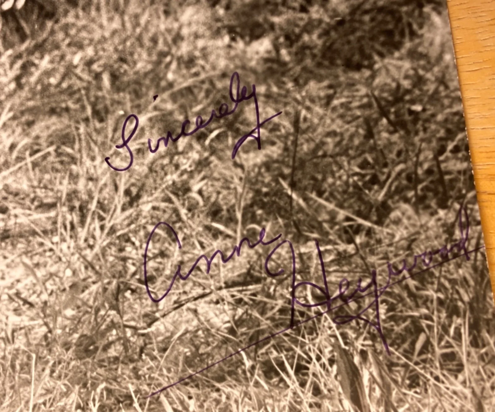Hand SIGNED Anne Heywood 7x9 Photo - Midas Run - Miss Great Britain - Actress, изображение 4