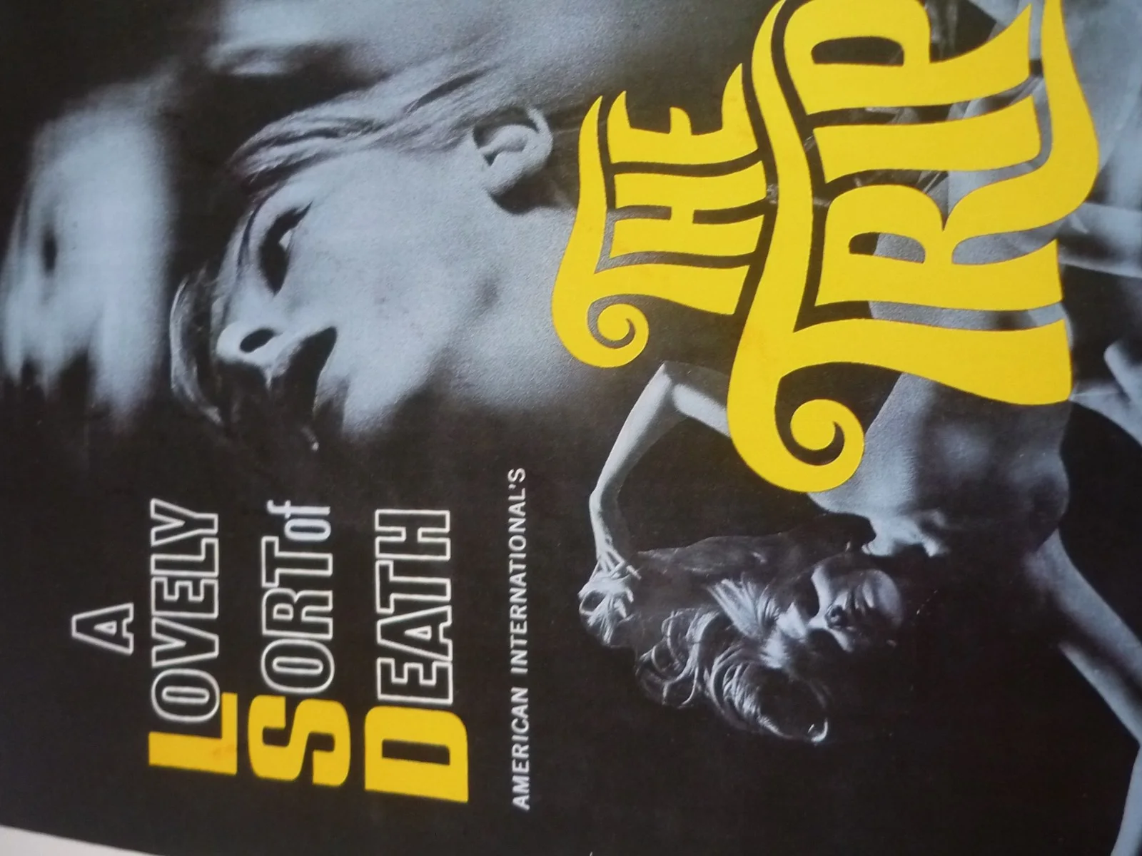 14x11 mounted poster Film the trip peter fonda lovely sort of death lsd framed, изображение 3