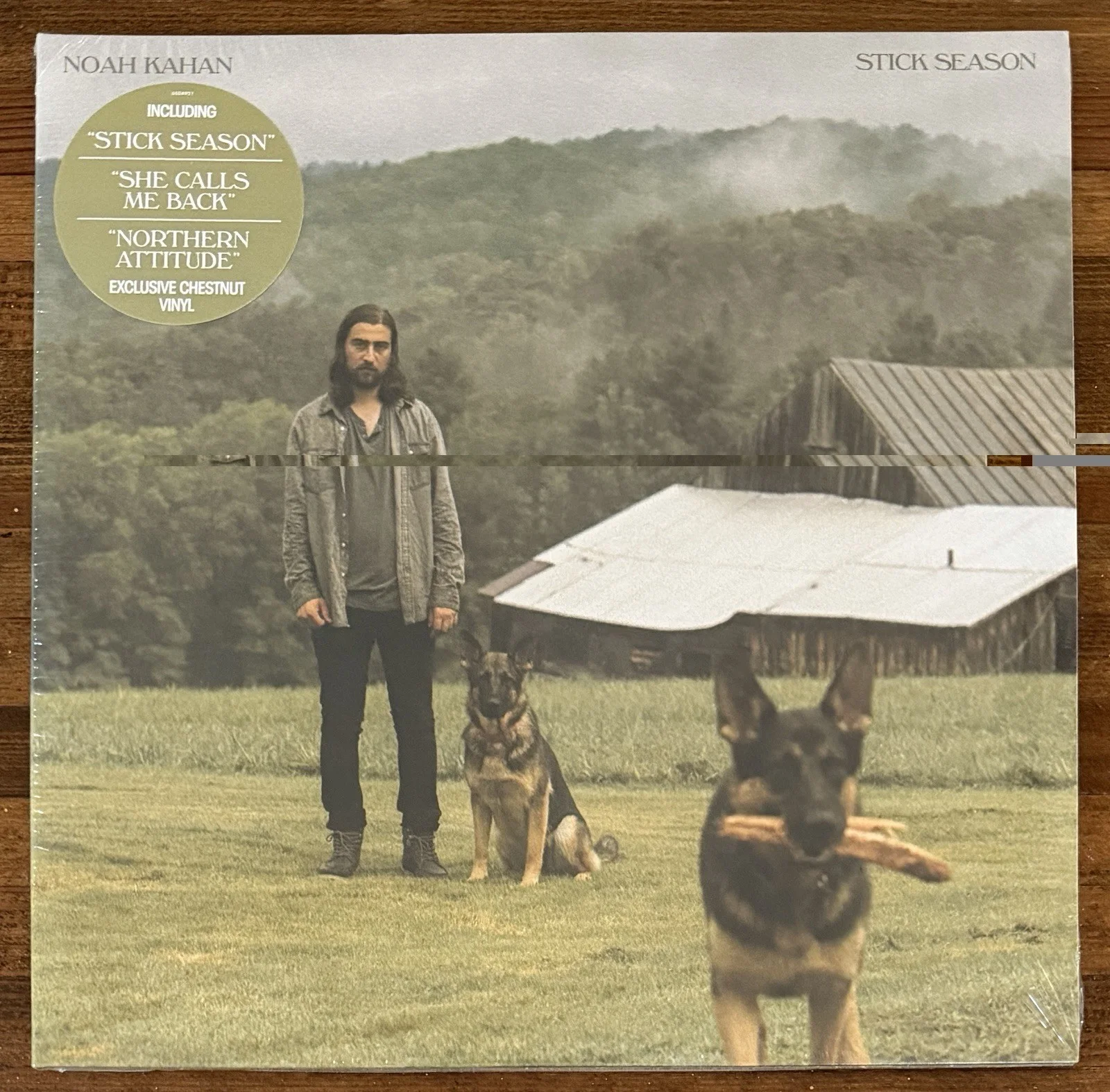 Noah Kahan Stick Season Chestnut Vinyl 2LP & SIGNED Forever Art Card PSA DNA COA, изображение 5