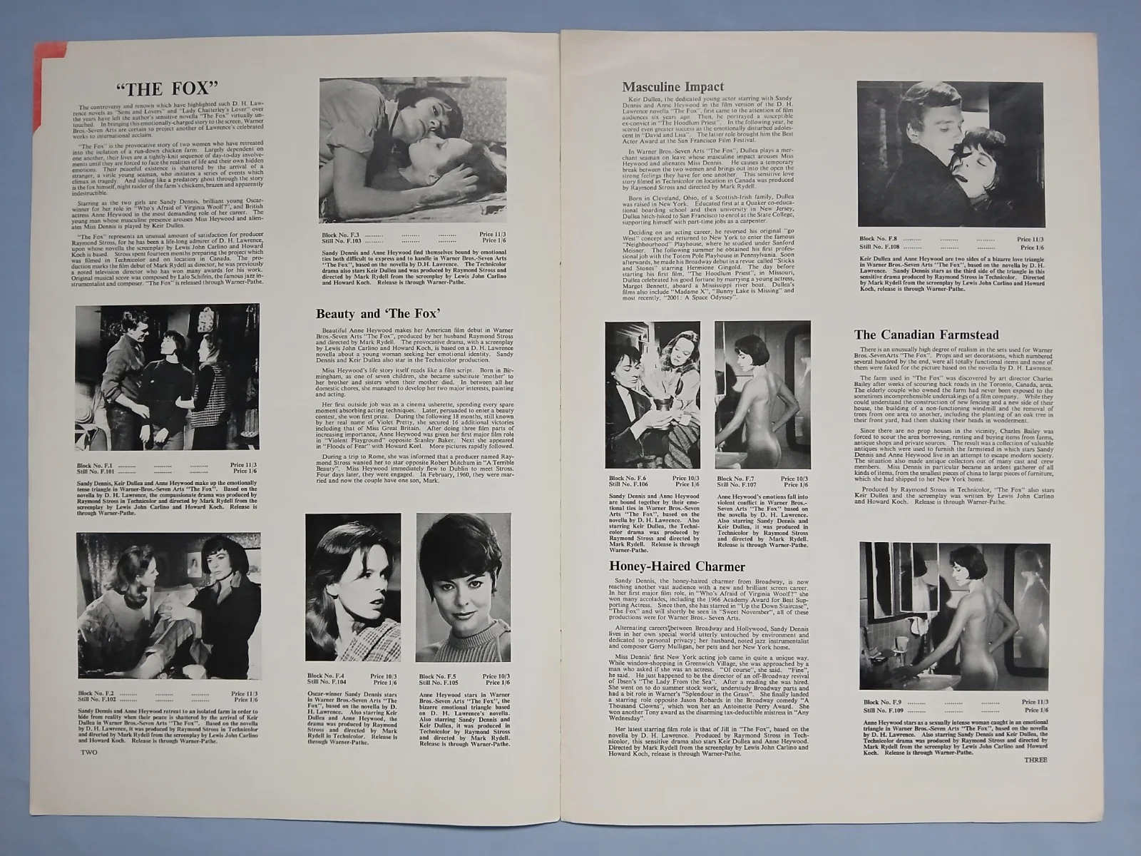 THE FOX (1967) rare original UK Exhibitors Campaign Press Book - D.H. Lawrence, image 2