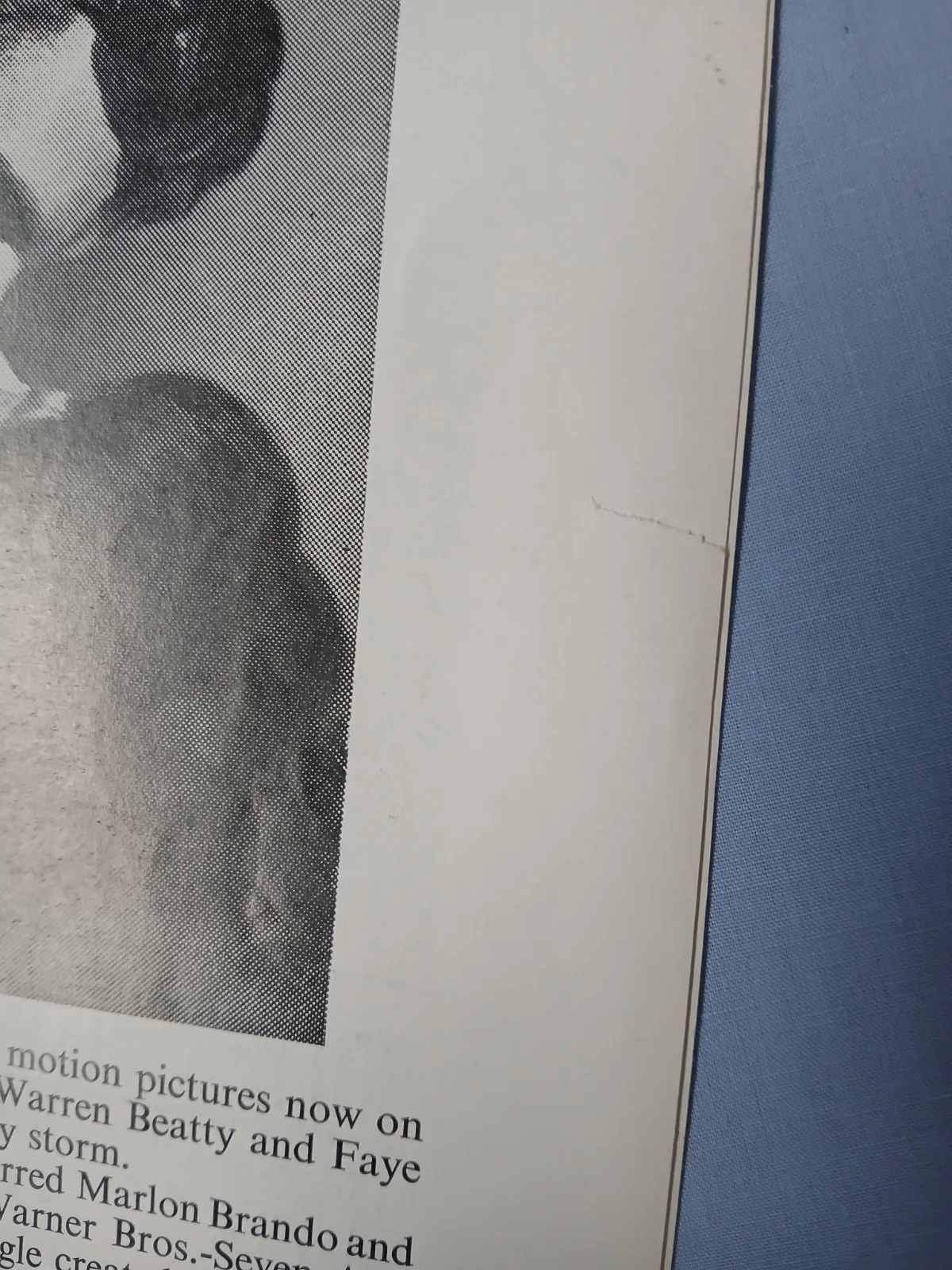 THE FOX (1967) rare original UK Exhibitors Campaign Press Book - D.H. Lawrence, image 4