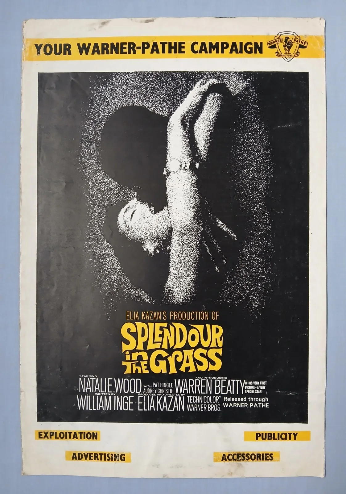 SPLENDOUR IN THE GRASS (1961)orig UK Campaign Press Book -Natalie Wood,W. Beatty, изображение 2