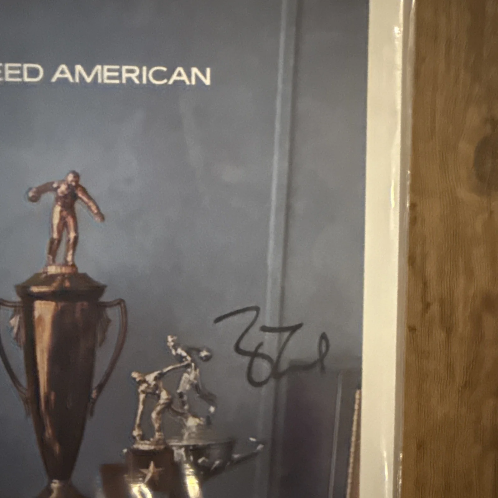 Jimmy Eat World Signed Autographed Bleed American Vinyl LP, image 4