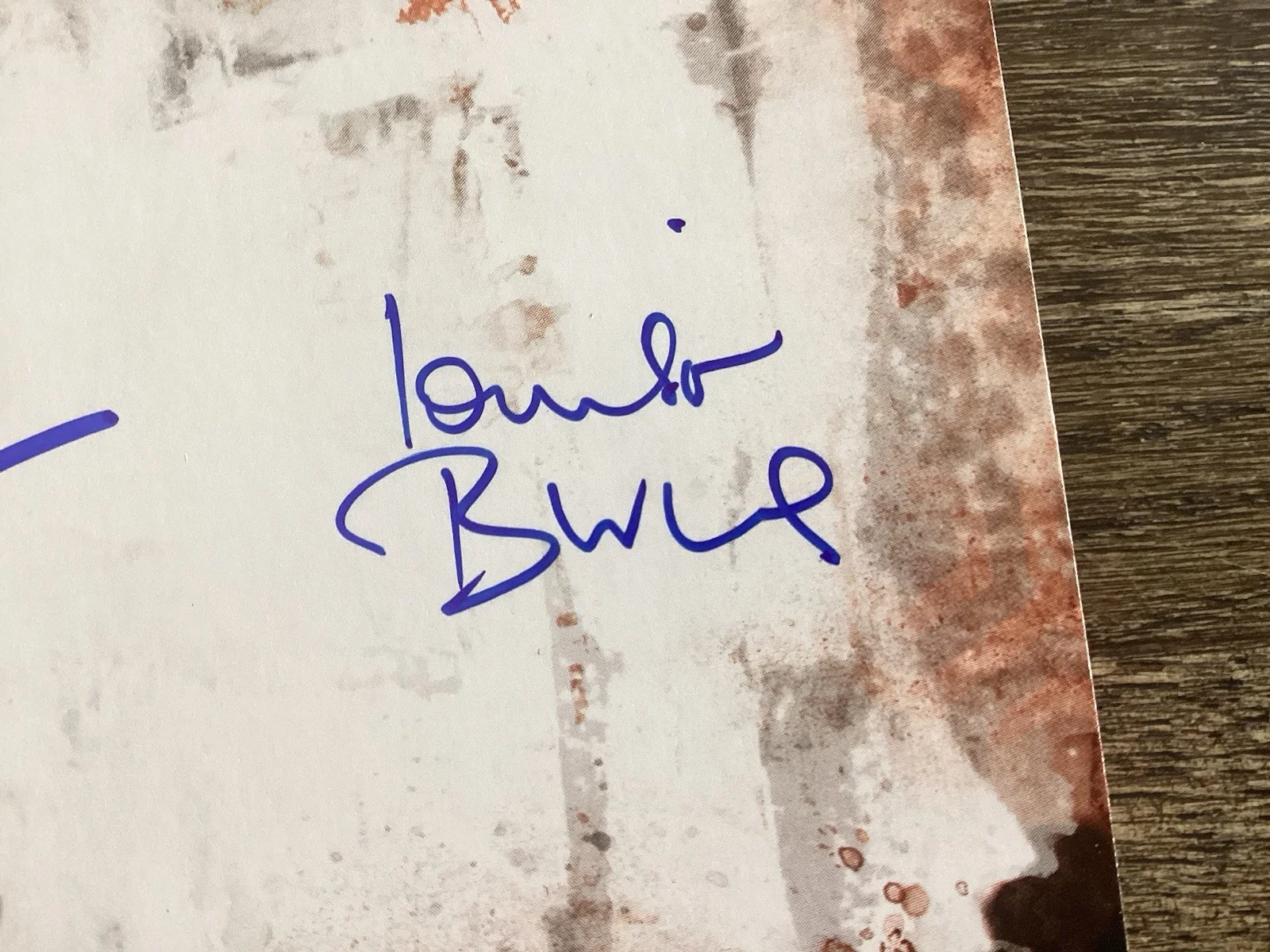 THE SHINING Lisa & Louise Burns THE TWINS Hand Signed Autograph coa, image 2