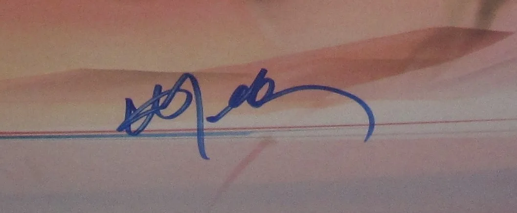 WILLIE NELSON SIGNED CITY OF NEW ORLEANS ALBUM VINYL COUNTRY AUTOGRAPH JSA COA, изображение 2