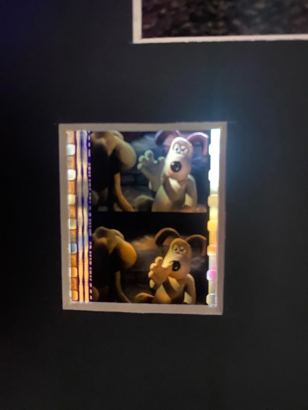 A3 Wallace and Gromit curse of the were rabbit film cell display, image 4