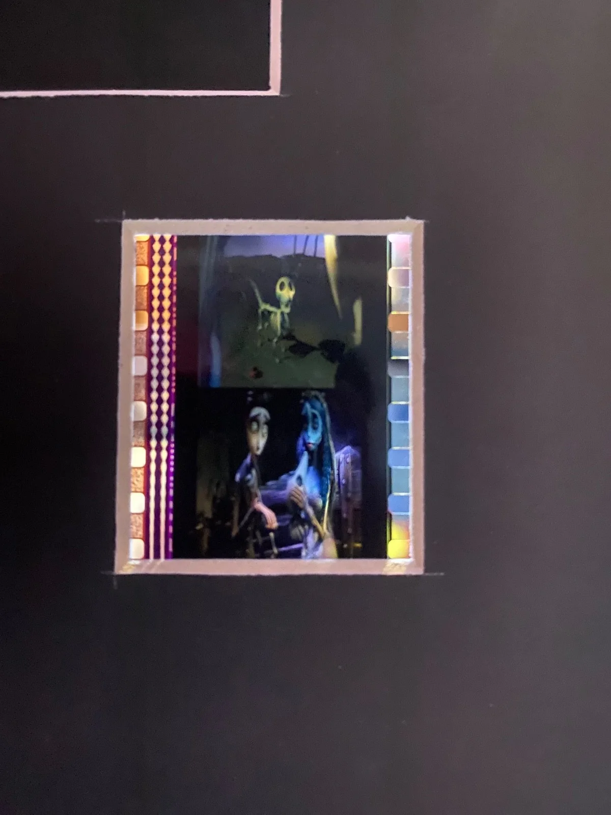A3 Corpse Bride film cell display, image 2