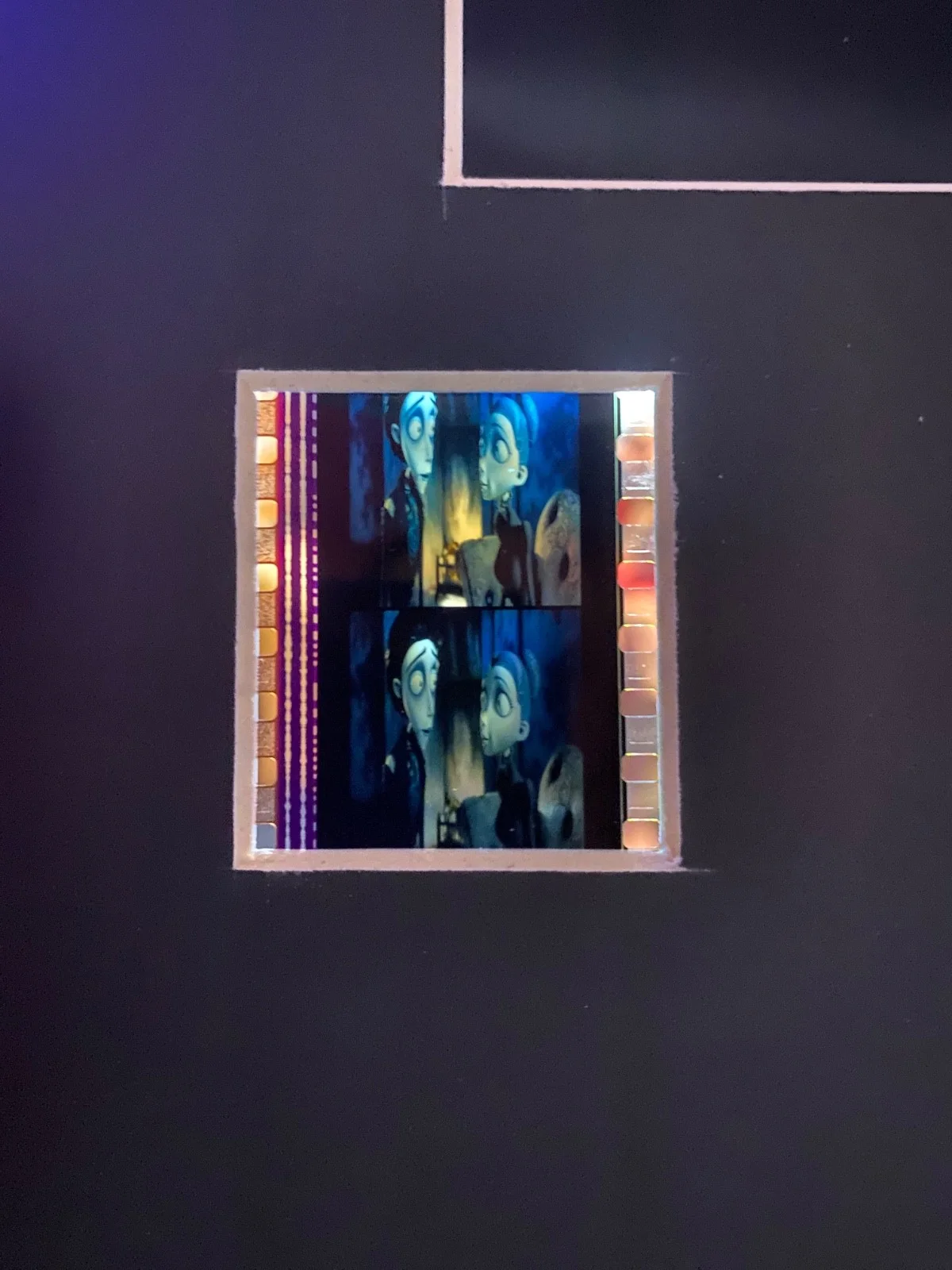 A3 Corpse Bride film cell display, image 3