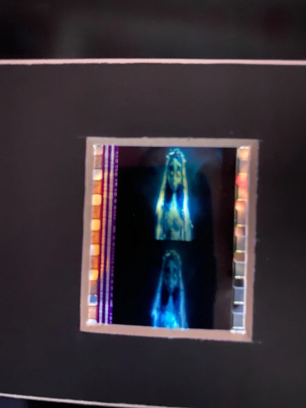 A3 Corpse Bride film cell display, image 4
