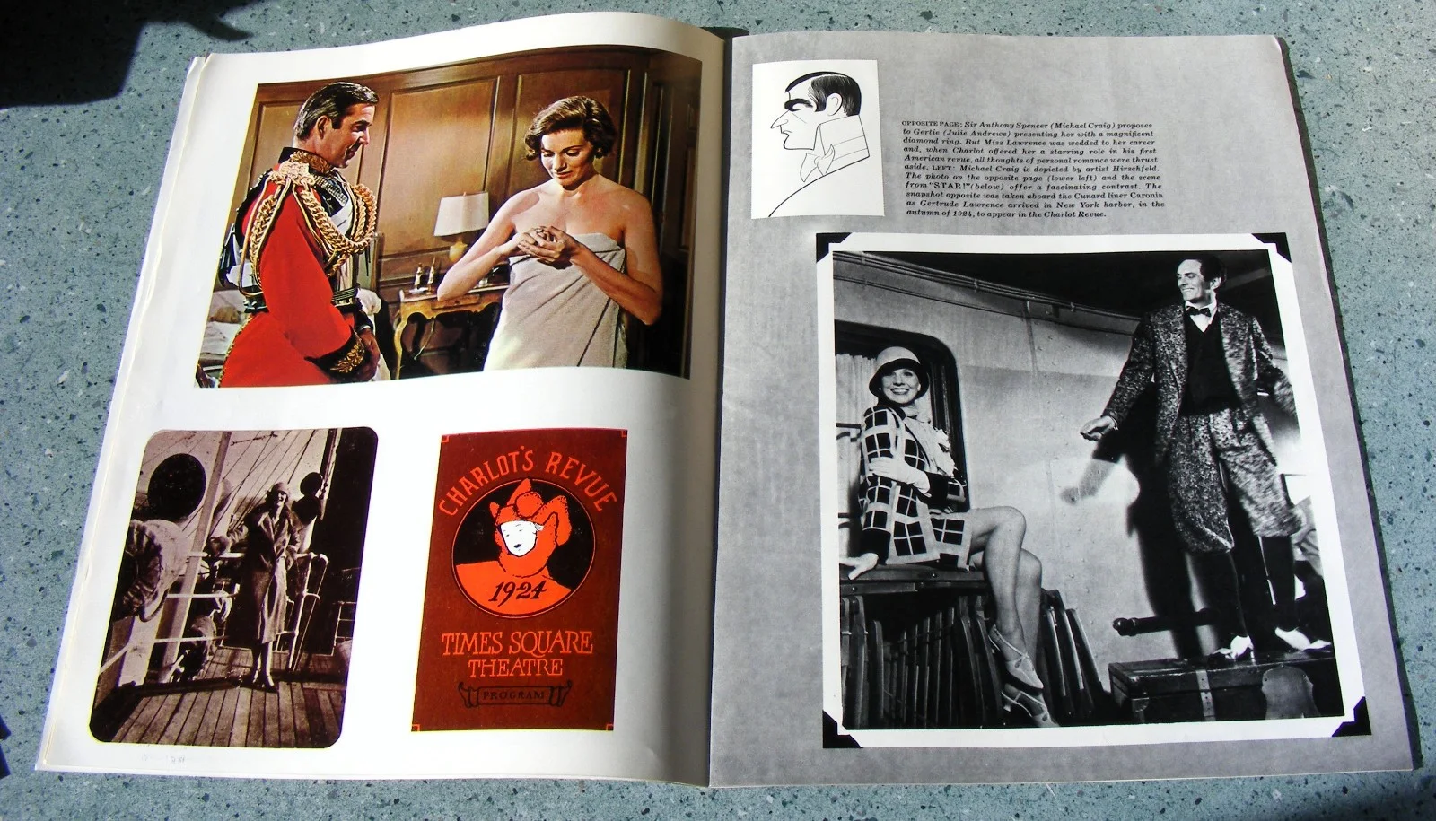 VINTAGE 1968 ORIGINAL JULIE ANDREWS SOUVENIR BROCHURE FOR THE FILM STAR!, изображение 3