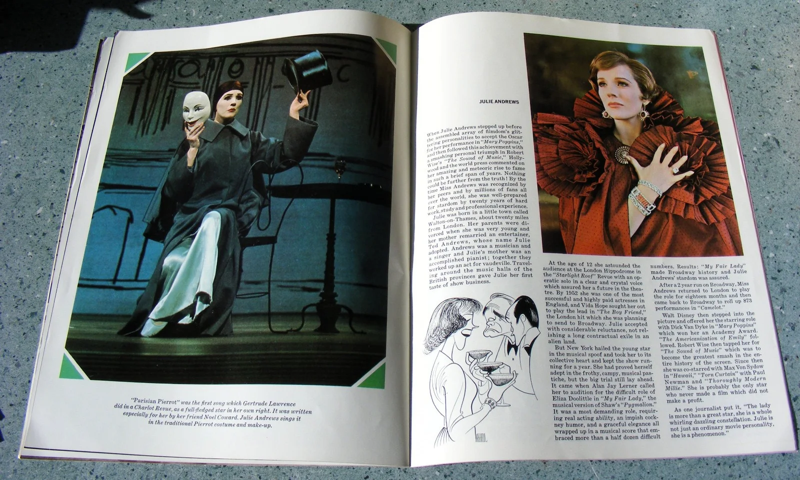 VINTAGE 1968 ORIGINAL JULIE ANDREWS SOUVENIR BROCHURE FOR THE FILM STAR!, изображение 5
