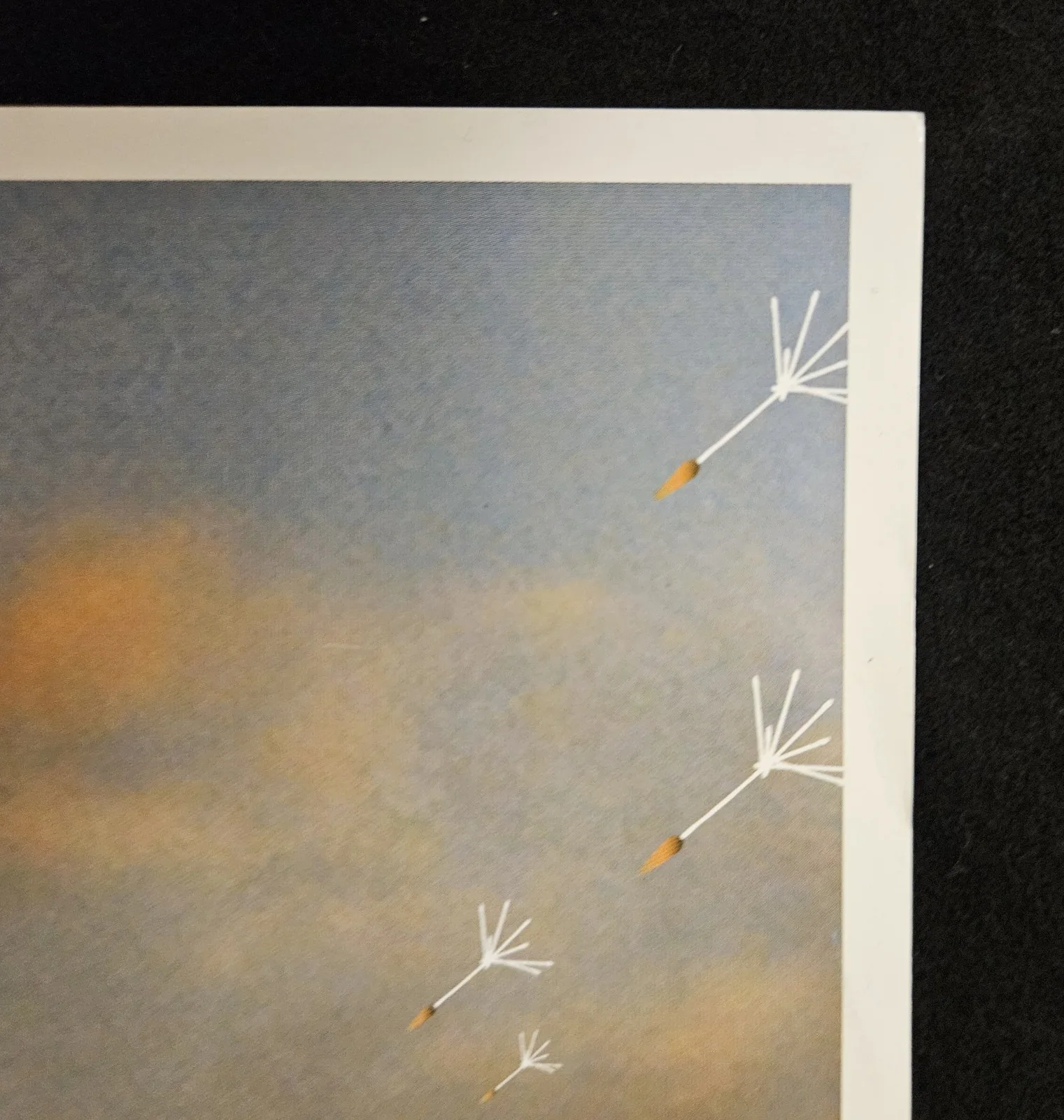 PHISH "COVENTRY" Art Print Concert Poster 2004 Dandelion Florets 11 x 12, image 3