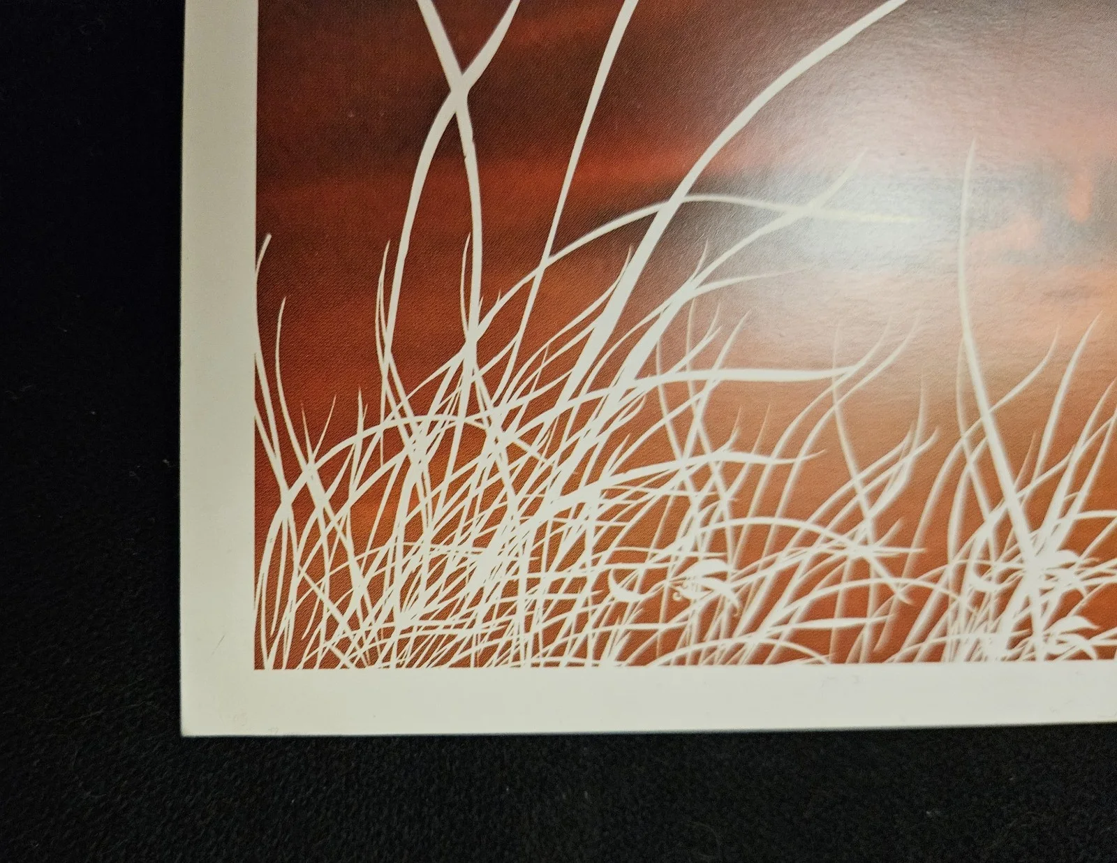 PHISH "COVENTRY" Art Print Concert Poster 2004 Dandelion Florets 11 x 12, image 4