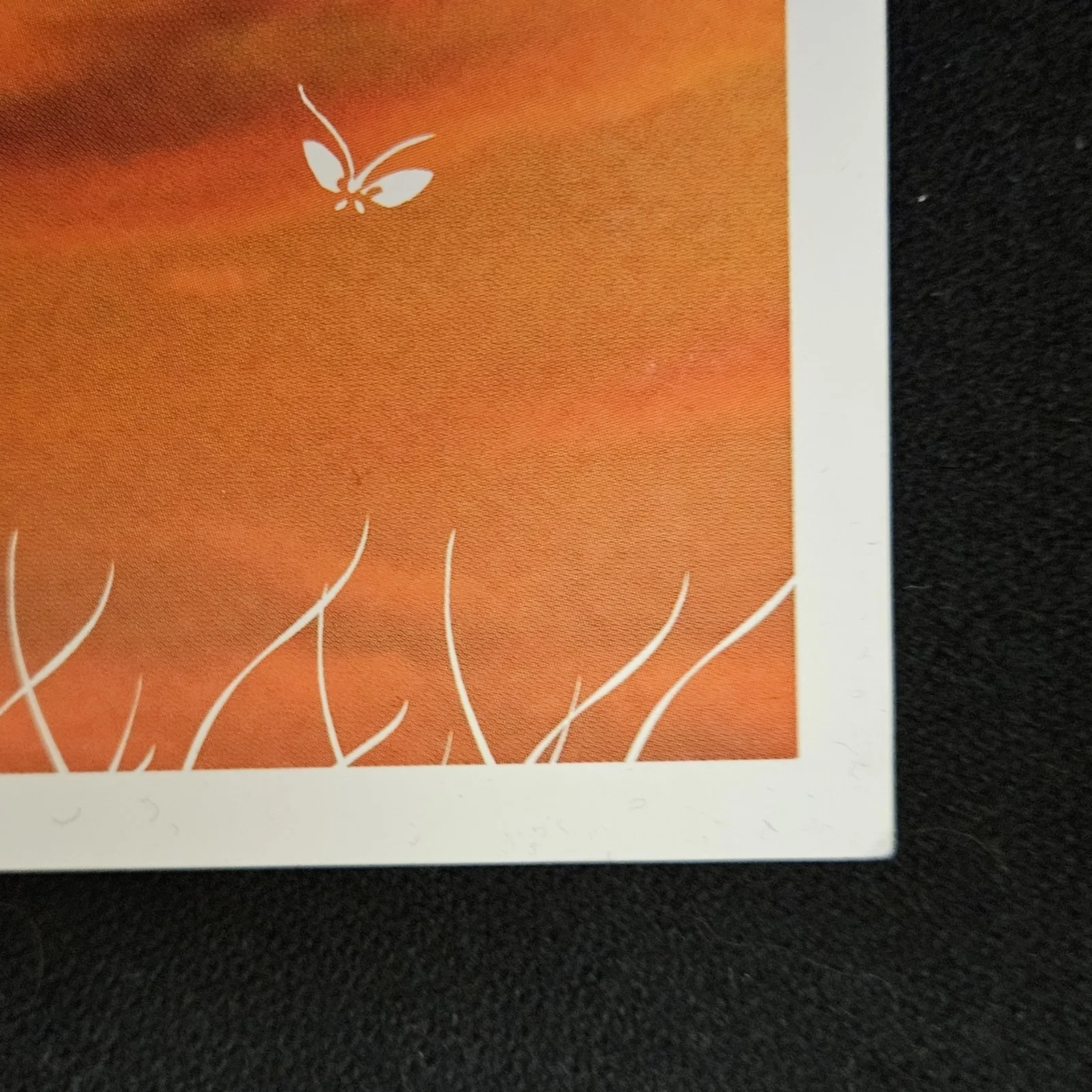 PHISH "COVENTRY" Art Print Concert Poster 2004 Dandelion Florets 11 x 12, image 5