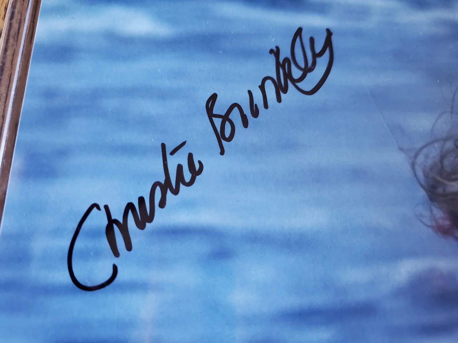 Christie Brinkley — CHRISTIE BRINKLEY 11X14 Autographed Supermodel Photo with Letter of Authenticity, изображение 2