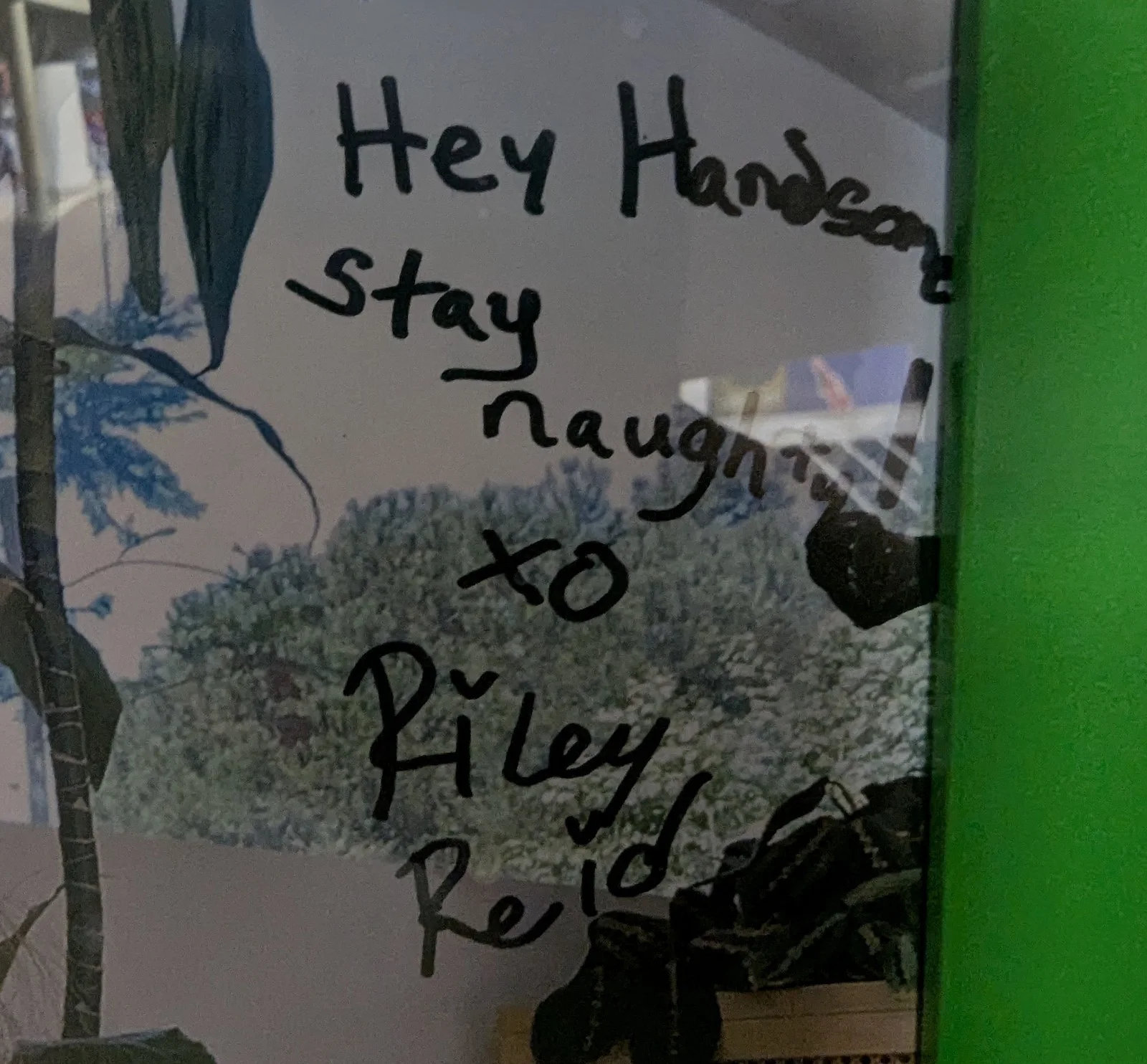 Riley Reid Autographed Picture Signed 8x10, image 3