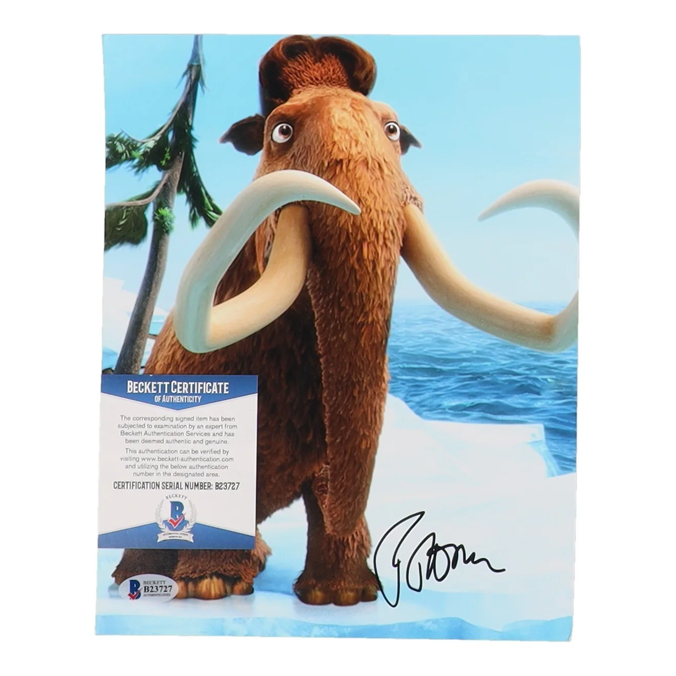 Ray Romano — Ray Romano Autographed 8x10 Photo Ice Age Manfred with Beckett COA, изображение 2