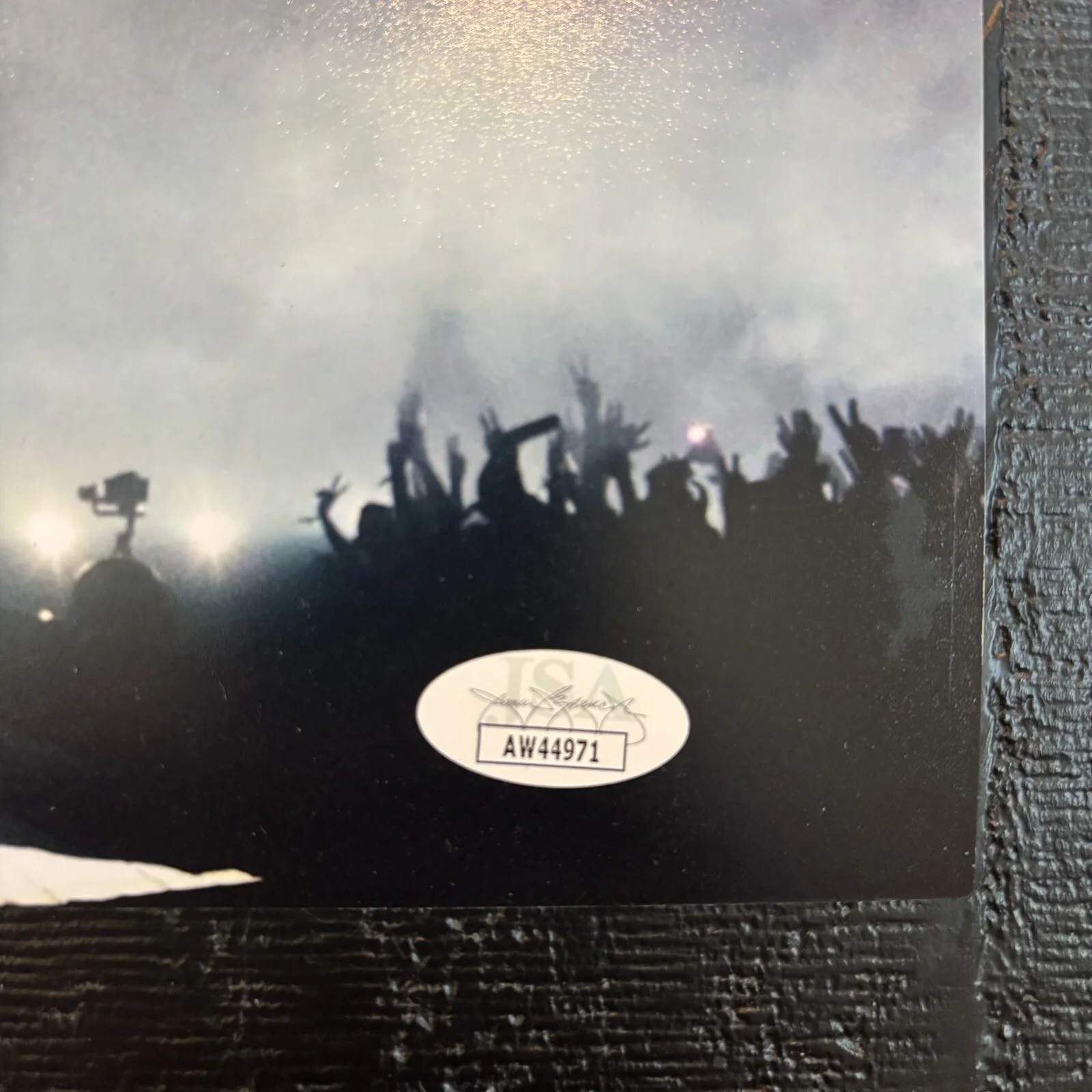 Post Malone Signed 11x14 Autograph Poster Picture JSA COA F1-Trillion Beerbongs, image 3