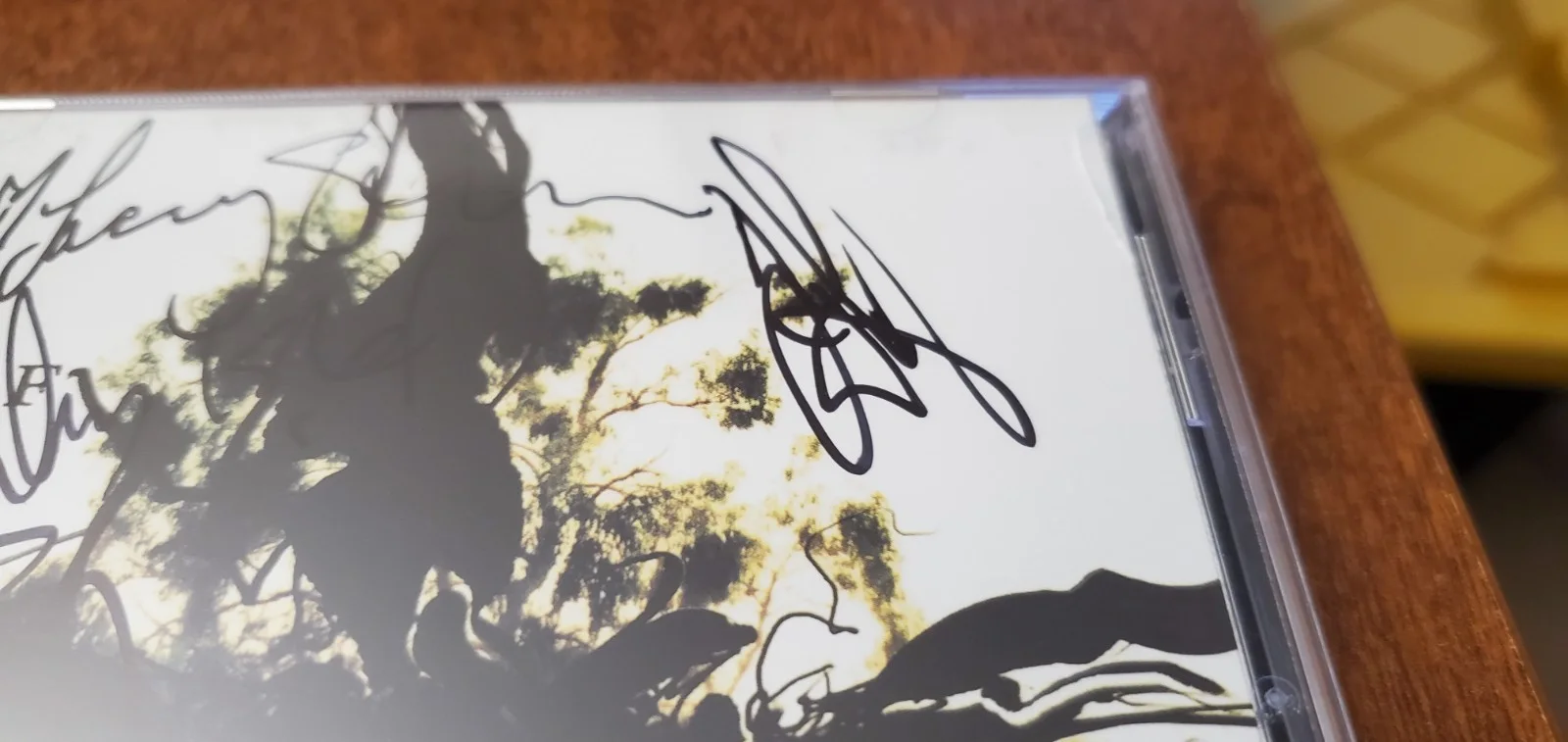 Flyleaf Original Autographed 6 Track Ep (2007) Signed in Person by Whole Band!!!, изображение 4