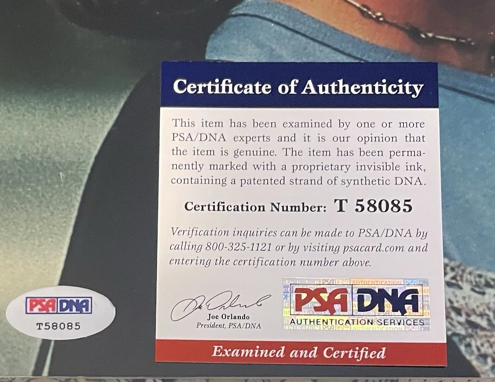JAMIE LYNN SIGLER — JAMIE LYNN SIGLER SIGNED 8 X 10 PHOTO PSA/DNA COA Meadow Soprano Autograph, изображение 3