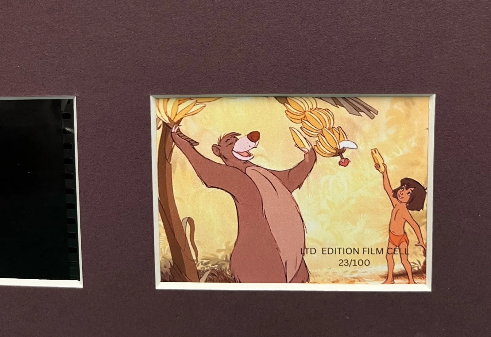 THE JUNGLE BOOK. 35mm Film Cell Mounted Display, image 2