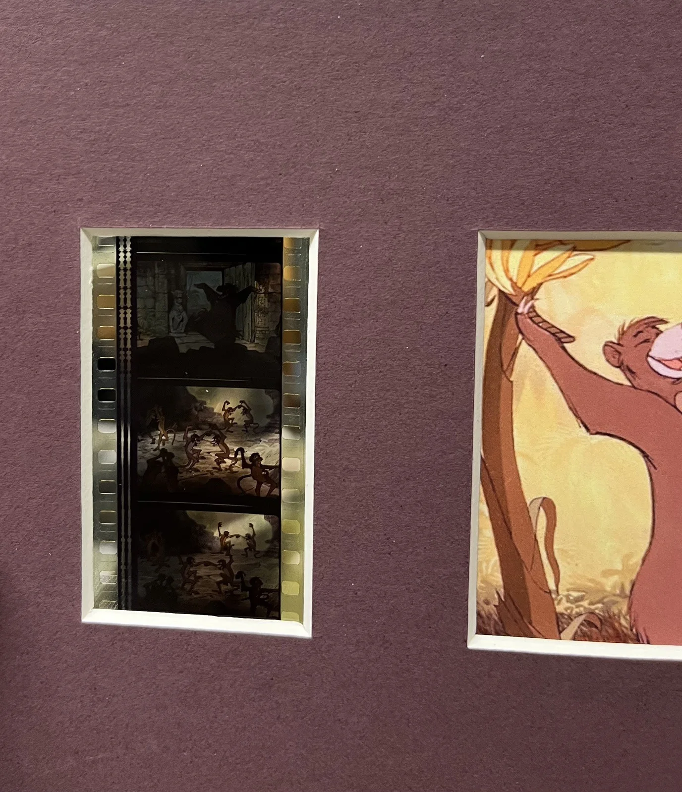 THE JUNGLE BOOK. 35mm Film Cell Mounted Display, image 4