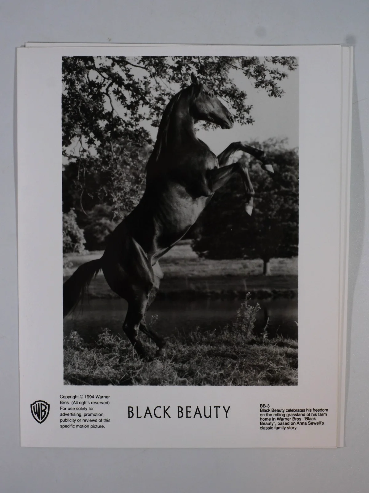Black Beauty 1971 Lobby Cards Mark Lester Tigon Slezak x4, изображение 3