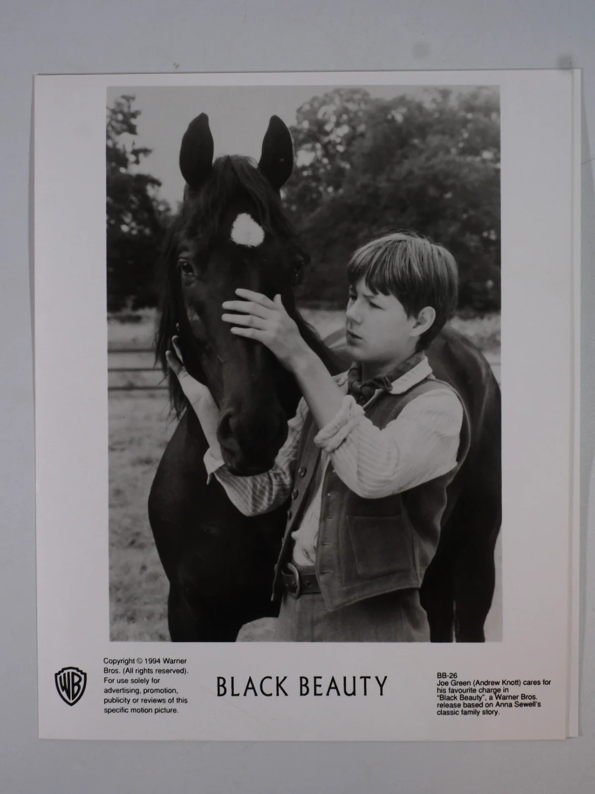 Black Beauty 1971 Lobby Cards Mark Lester Tigon Slezak x4, изображение 4