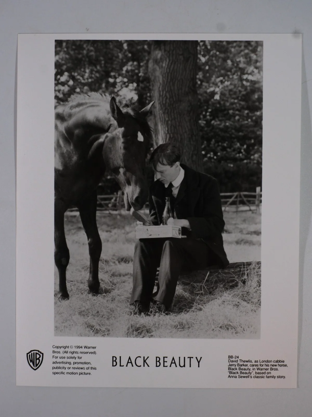 Black Beauty 1971 Lobby Cards Mark Lester Tigon Slezak x4, изображение 5